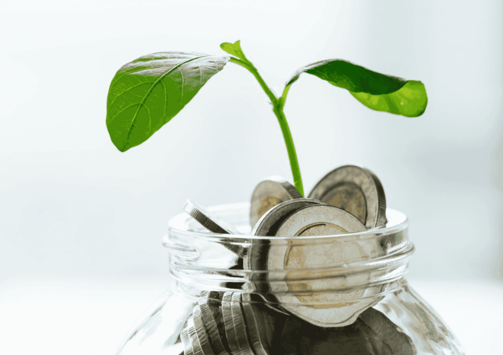 Balanced Advantage Funds